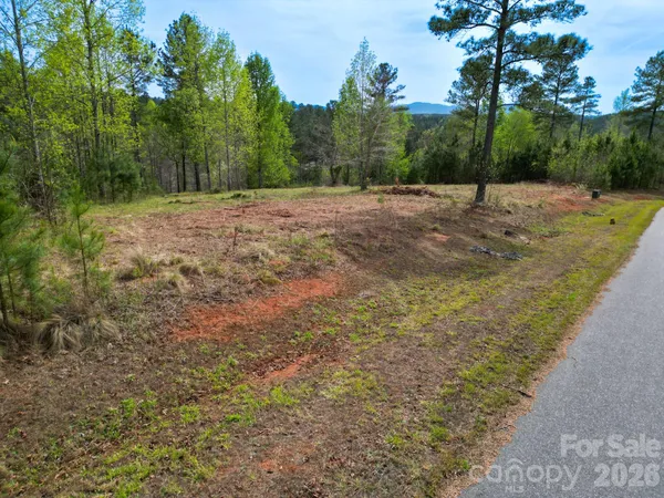 a view of dirt with trees