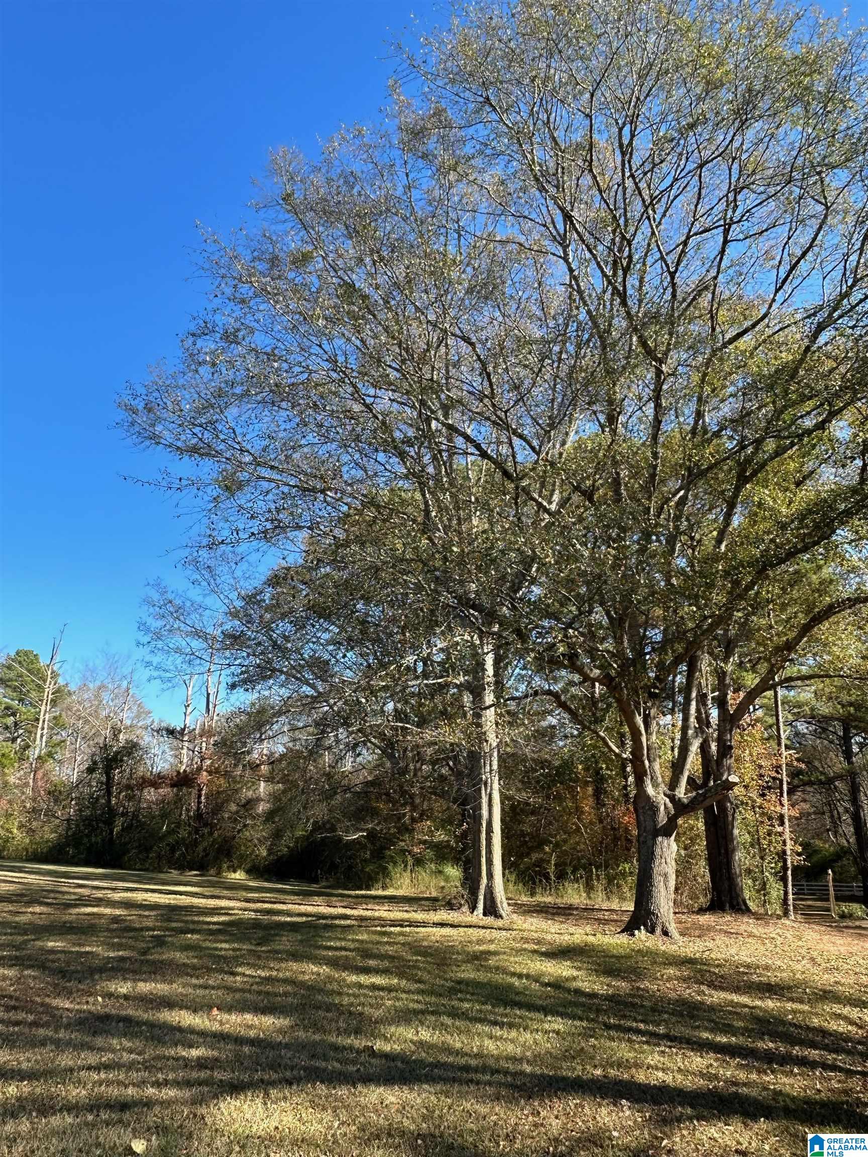 Lot 5 Carleton Point, Unit 5 Wilsonville, AL 35186 - Photo 11 of 12
