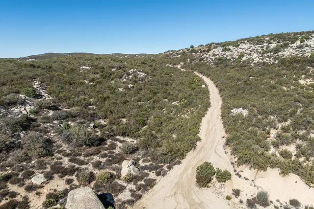 an aerial view of houses covered in trees