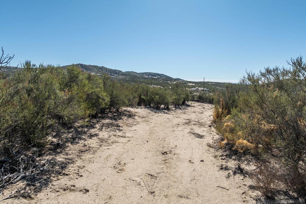 35613 Stagecoach Springs Road Pine Valley, CA 91962 - Photo 28 of 28 a view of a dry yard with mountains in the background