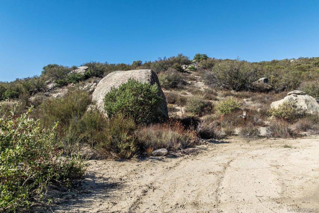 35613 Stagecoach Springs Road Pine Valley, CA 91962 - Photo 6 of 28 a view of a yard with a tree