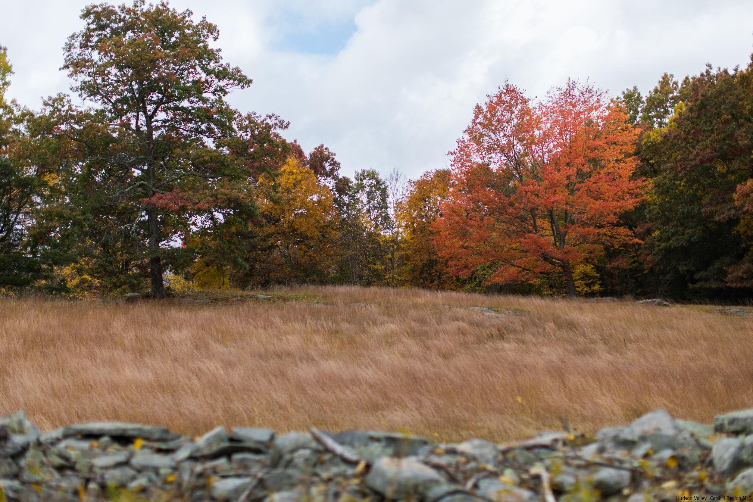 30 Old Farm Road Stone Ridge, NY 12484 - Photo 28 of 30 a view of a yard with trees