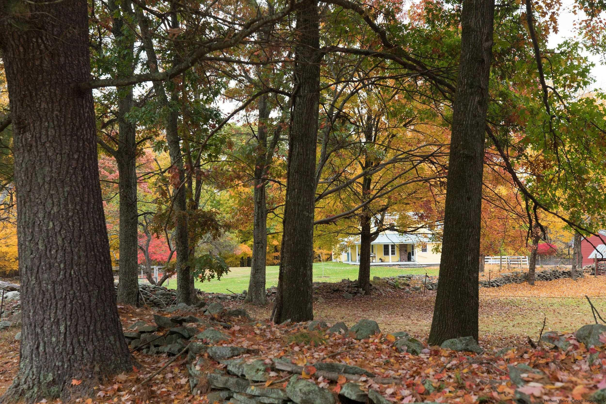 30 Old Farm Road Stone Ridge, NY 12484 - Photo 29 of 30 a view of street with tree