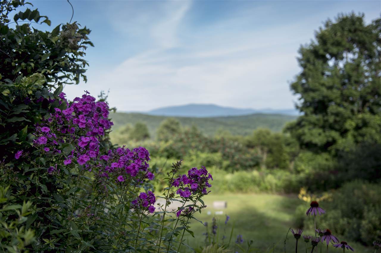 356 Juniper Chase Corinth, VT 05039 - Photo 8 of 37 Gallery Image 8