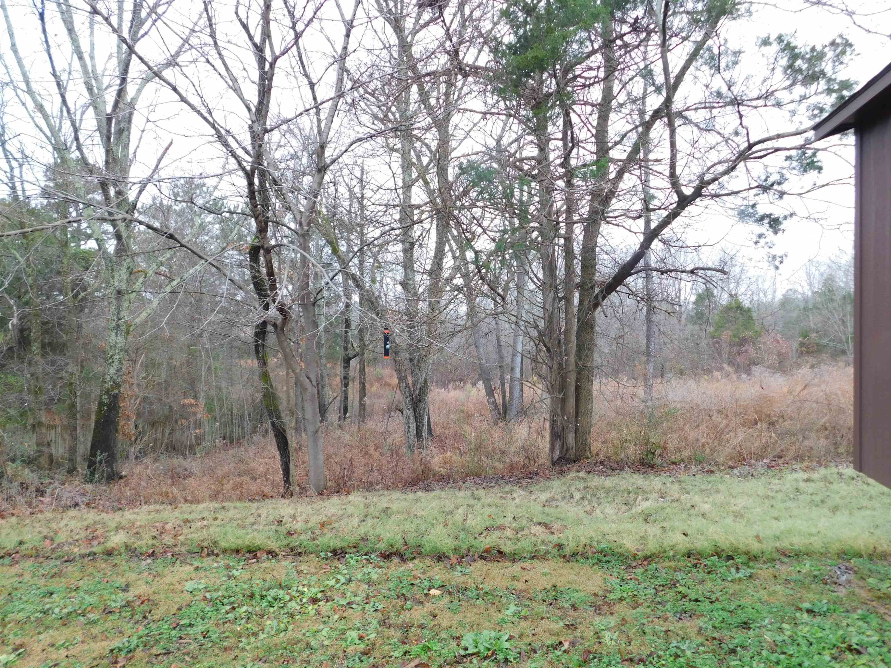 2821 Riverside Drive Jackson, TN 38301 - Photo 16 of 17 Photo 16