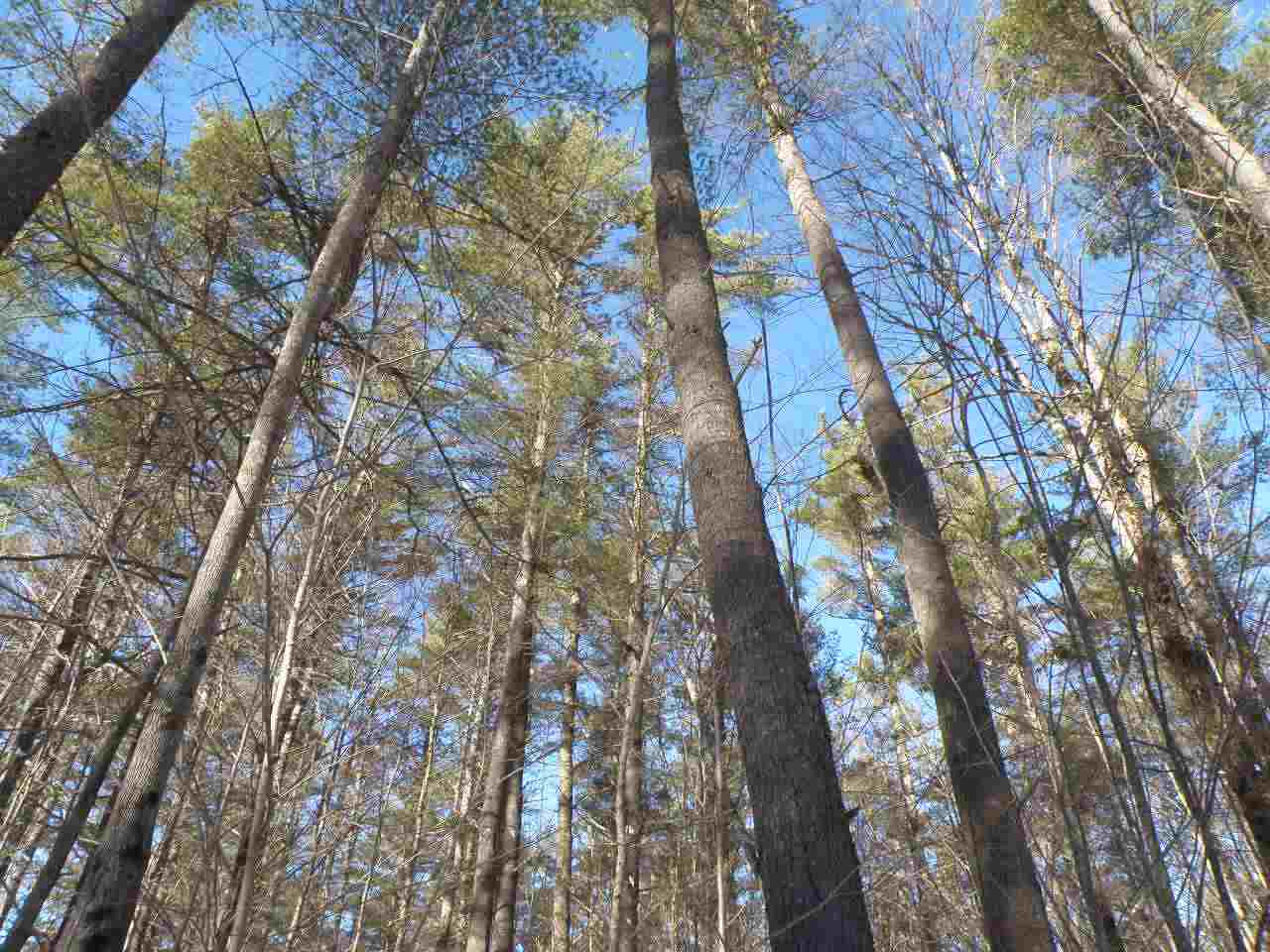 0 Newcomb Road Sullivan, NH 03445 - Photo 1 of 6