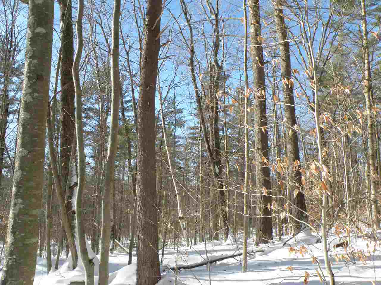 0 Newcomb Road Sullivan, NH 03445 - Photo 3 of 6