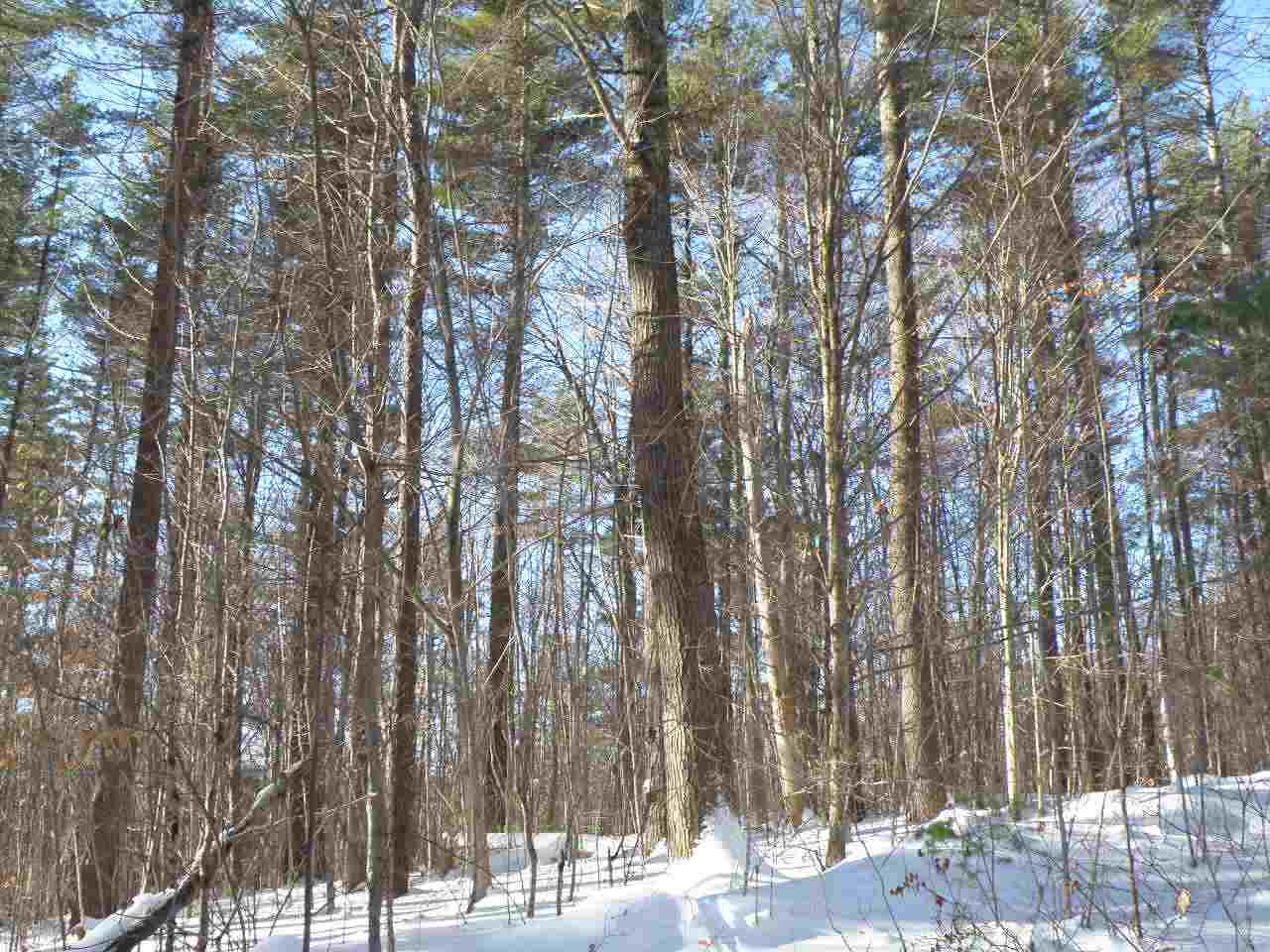 0 Newcomb Road Sullivan, NH 03445 - Photo 5 of 6