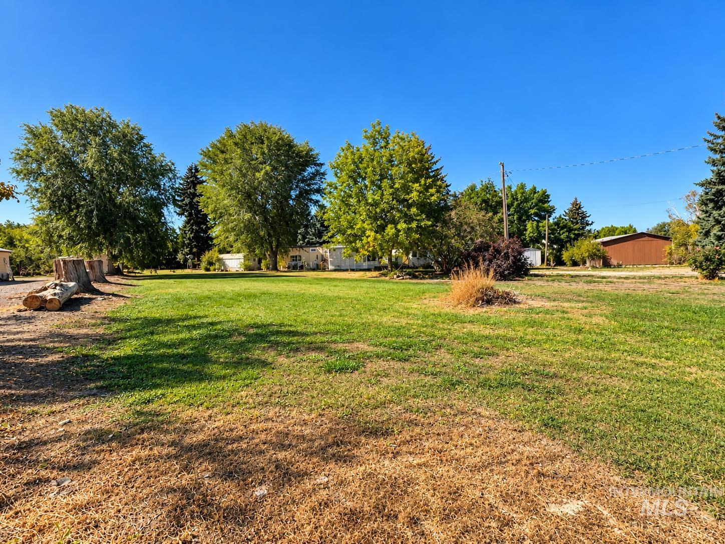 181 Hillcrest Road Burley, ID 83318 - Photo 13 of 14 Expansive grassy area with mature deciduous and evergreen trees, featuring a visible outbuilding