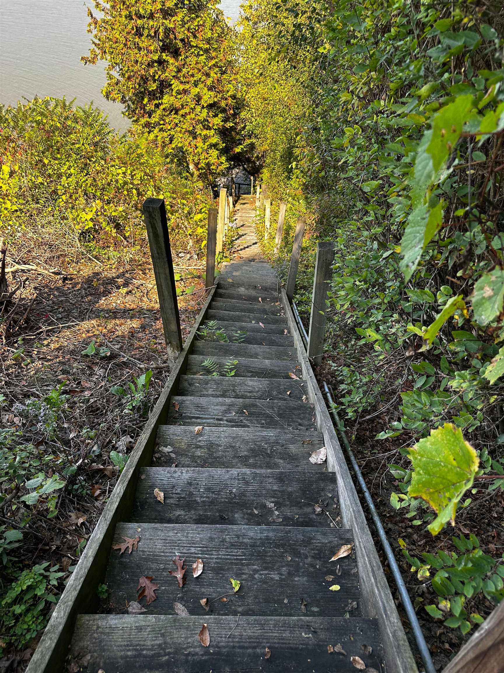 78 Way Lane Extension Bridport, VT 05734 - Photo 37 of 50