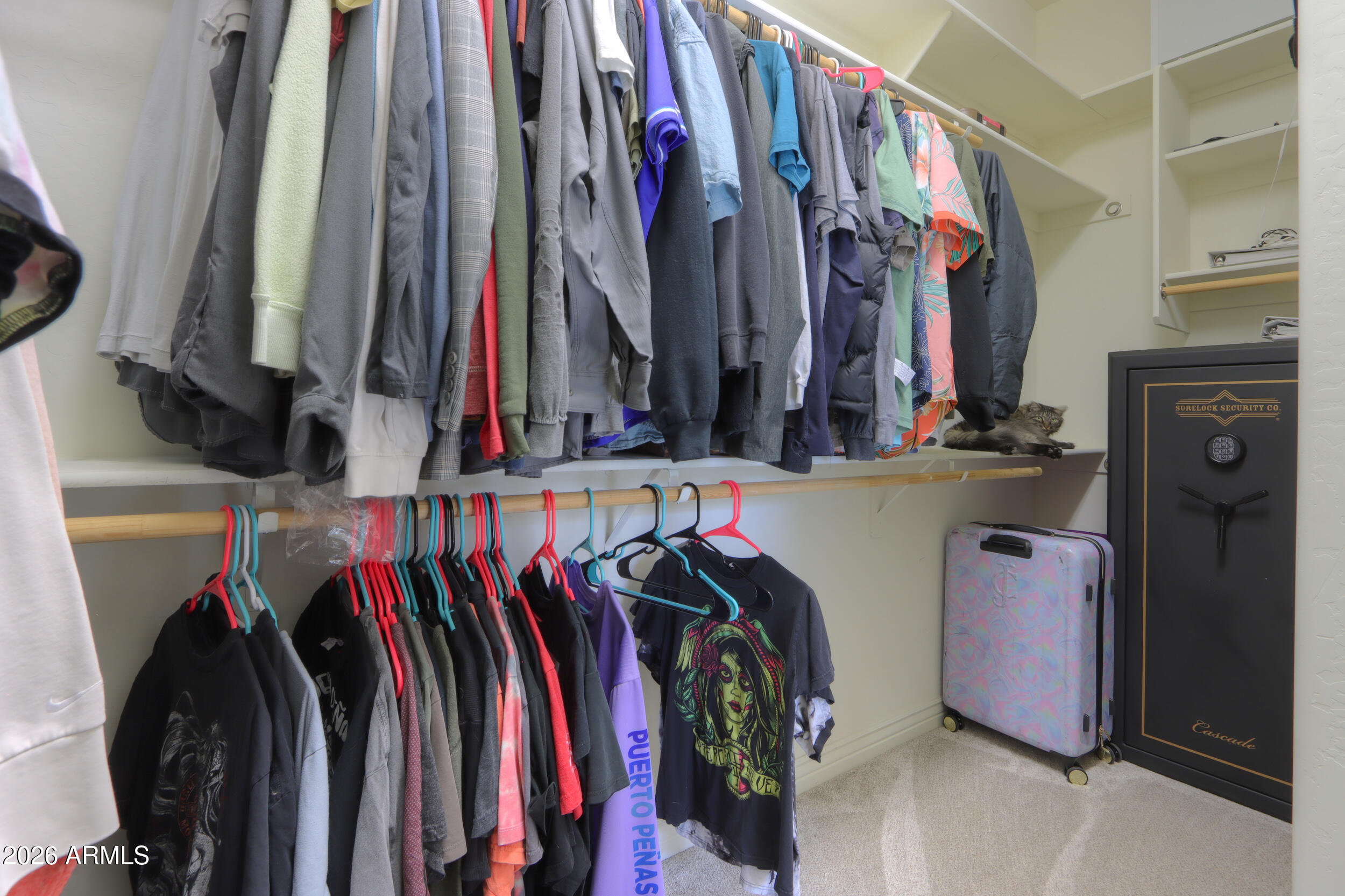 20343 East Russet Road Queen Creek, AZ 85142 - Photo 23 of 43 35