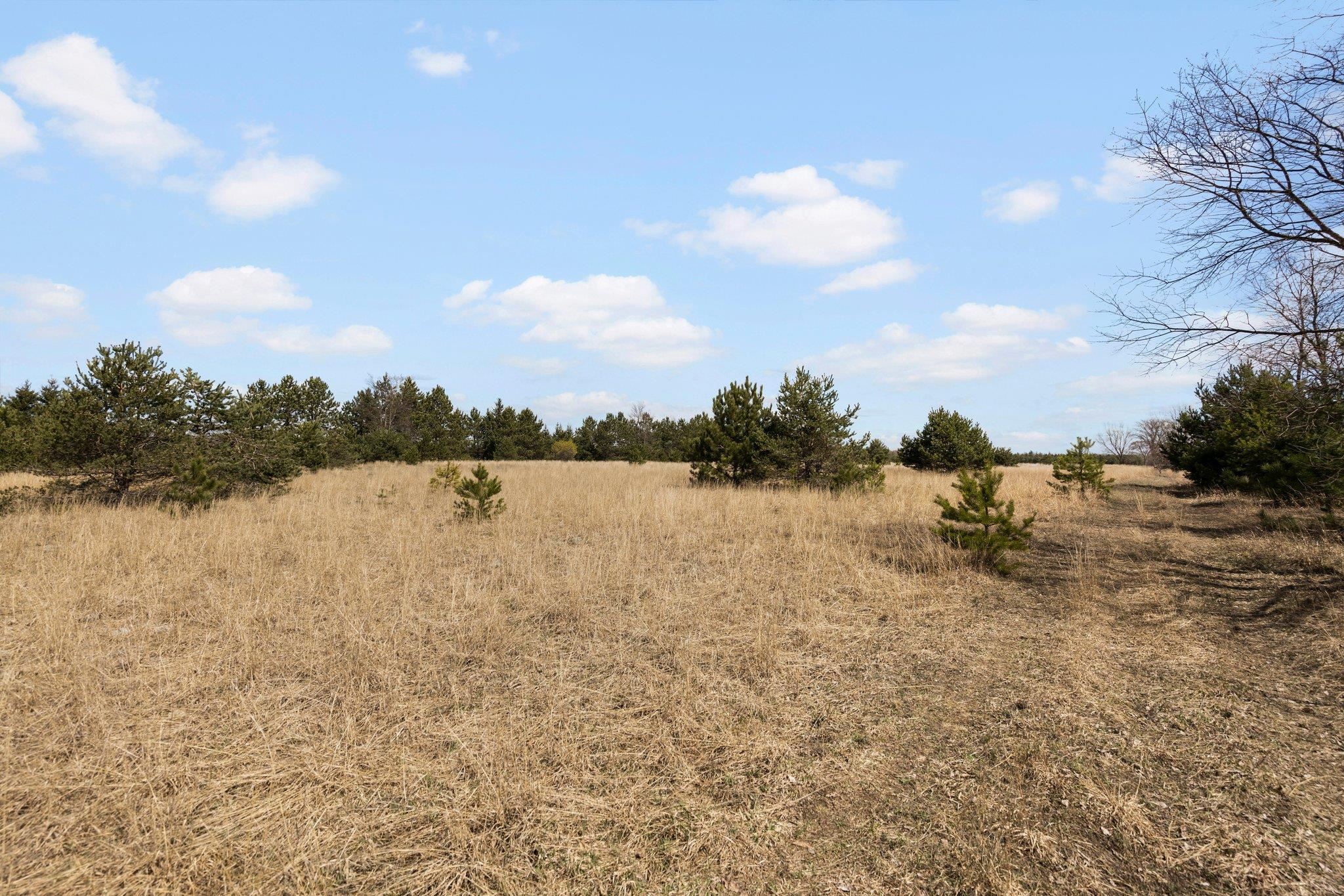 0 Golden Road Southeast Kalkaska, MI 49646 - Photo 7 of 30 Gallery Image 7