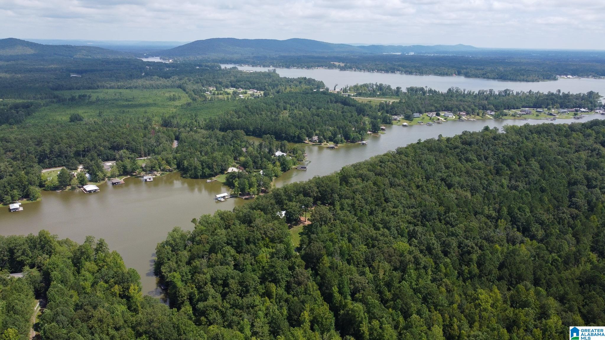 0 Colvin Springs Road Ashville, AL 35953 - Photo 27 of 31 Gallery Image 27
