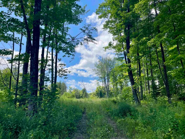 $85,000 | 2209 Underpass Road, Sutton, VT 05867