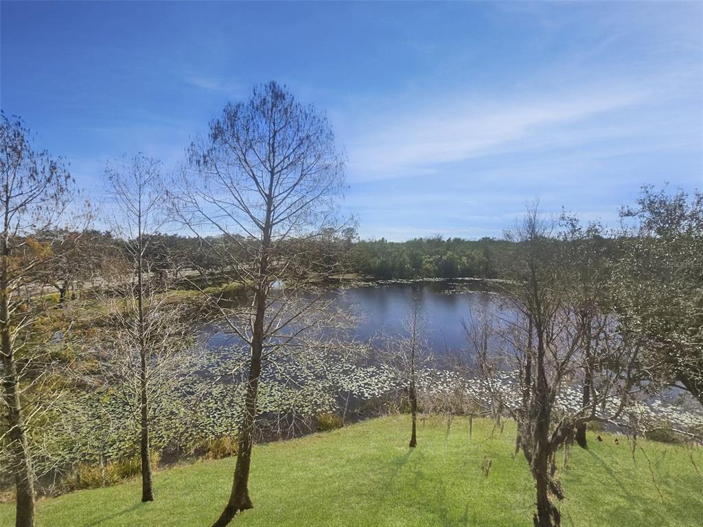 8716 Spruce Hills Court Lakewood Ranch, FL 34202 - Photo 12 of 17