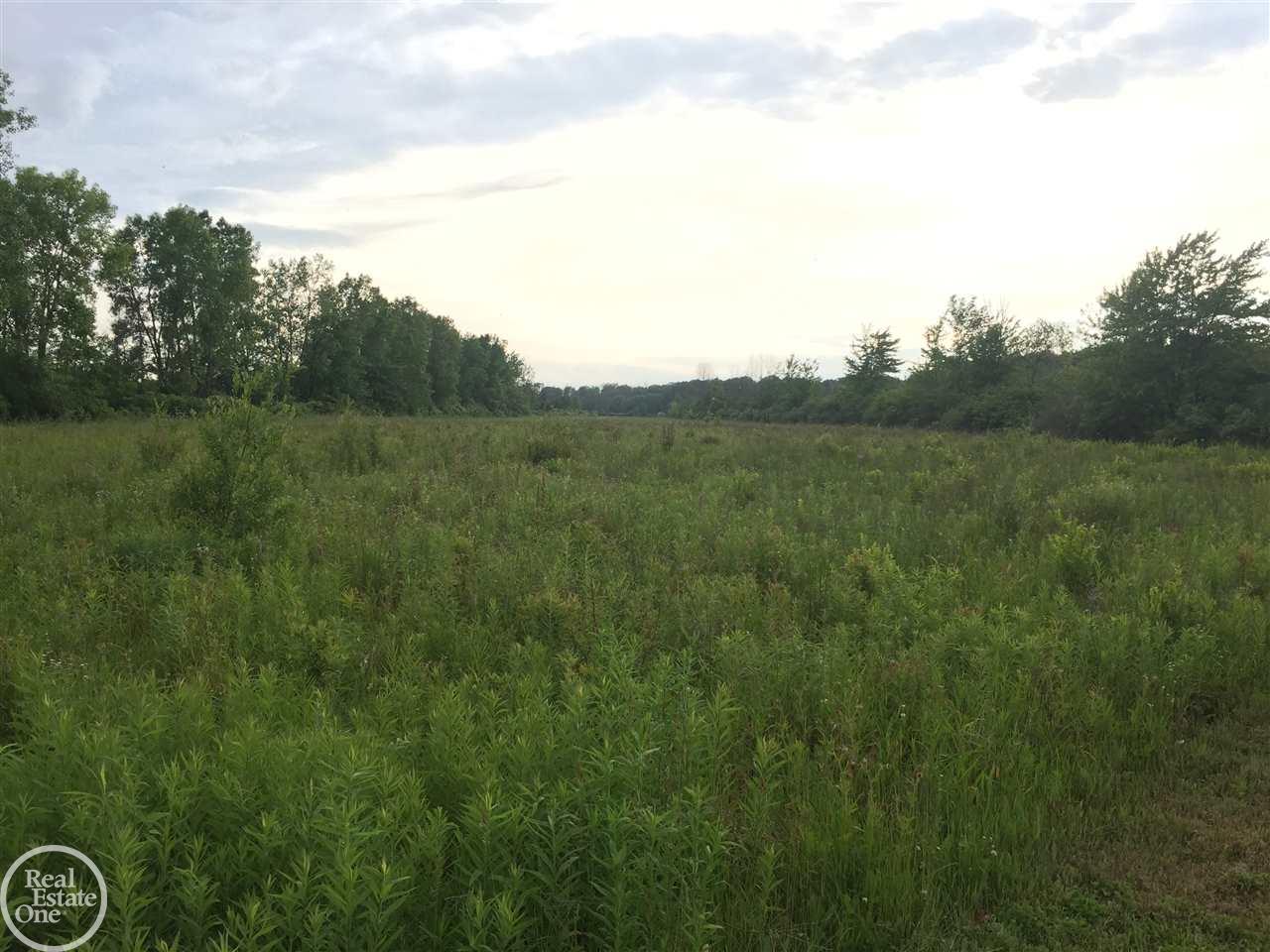 8562 Fisher Road Avoca, MI 48006 - Photo 10 of 39