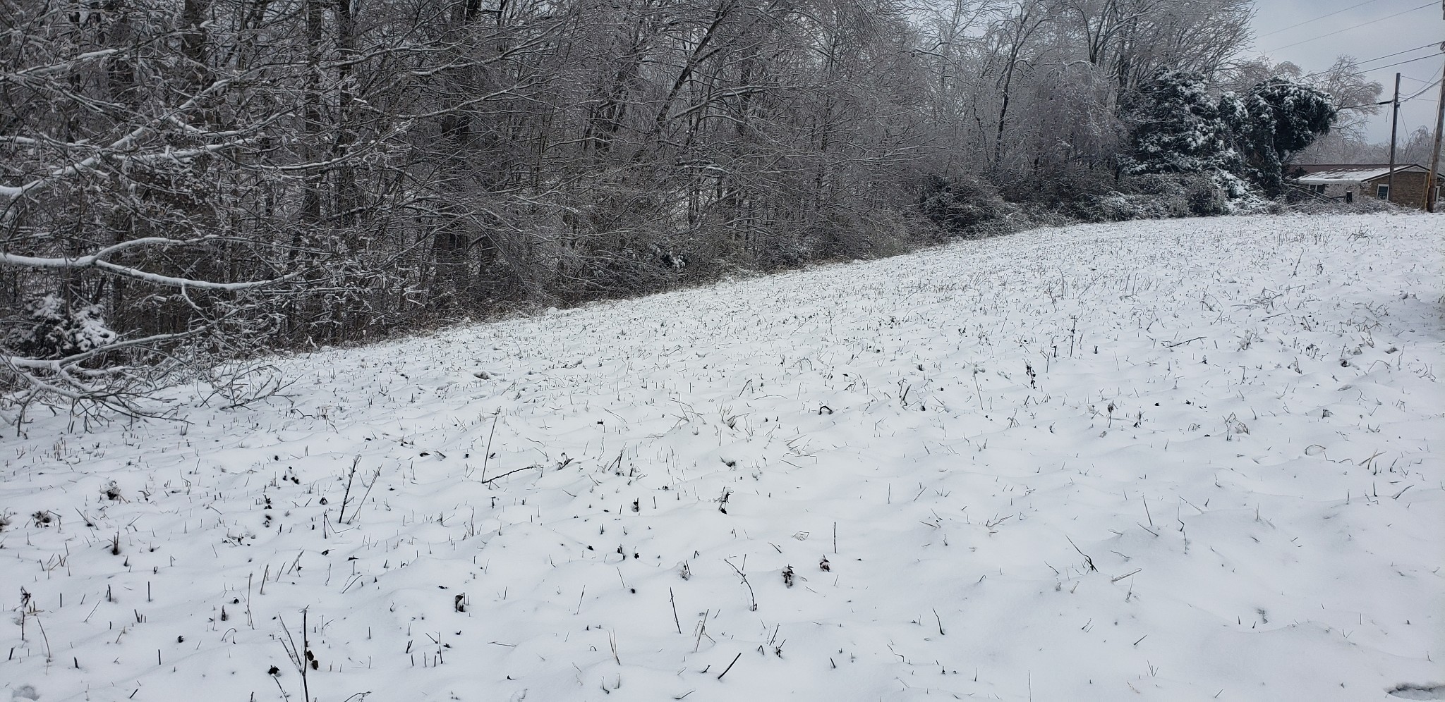 0 Man Hill Road Dowelltown, TN 37059 - Photo 2 of 3 Gallery Image 2