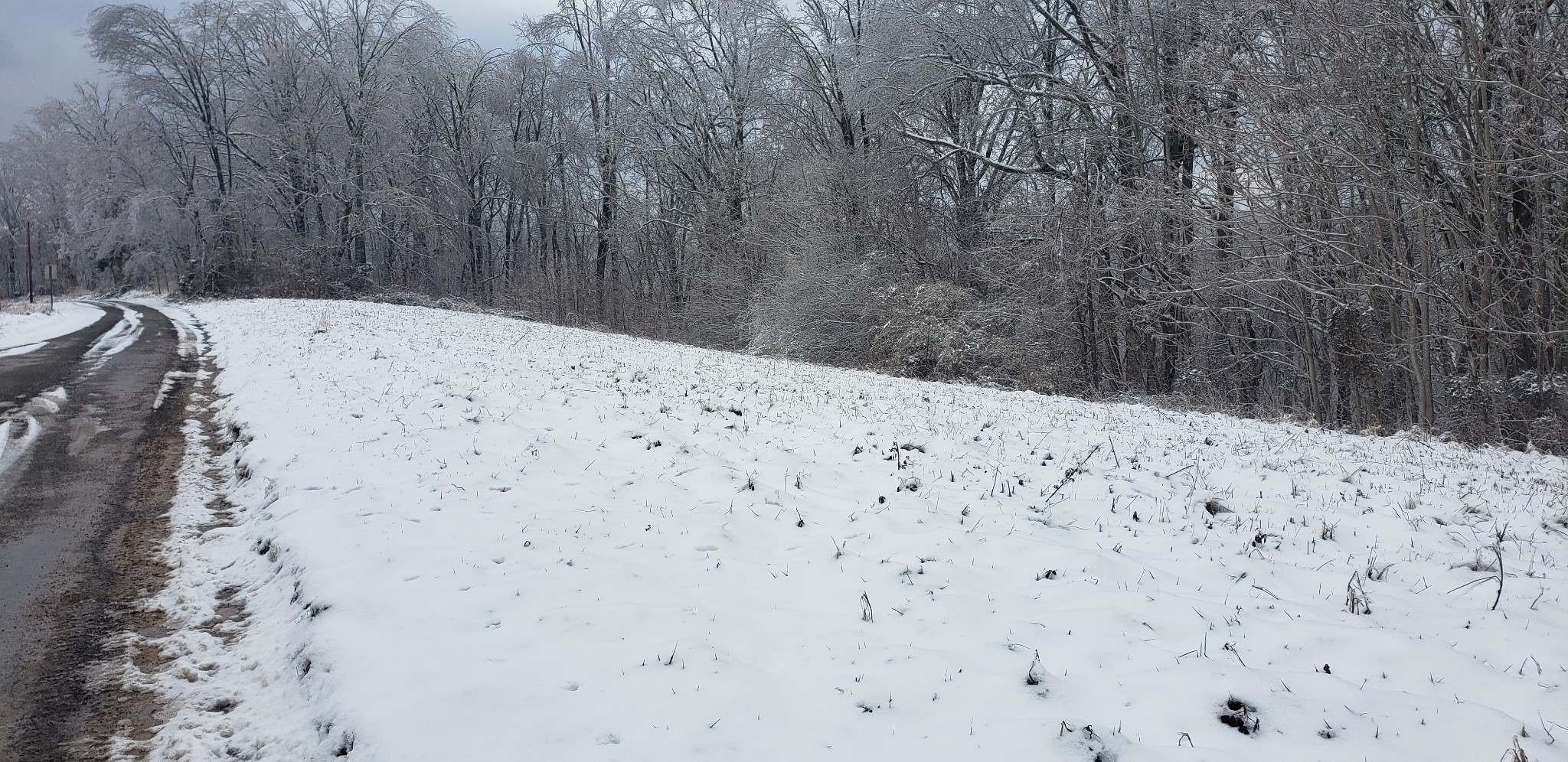 0 Man Hill Road Dowelltown, TN 37059 - Photo 3 of 3 Gallery Image 3
