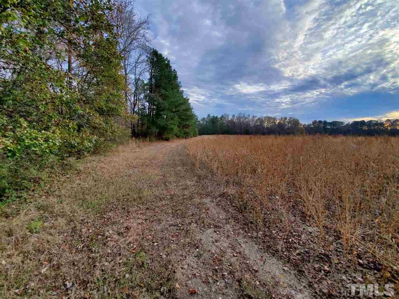 Edgemont Road Wendell, NC 27591 - Photo 5 of 6