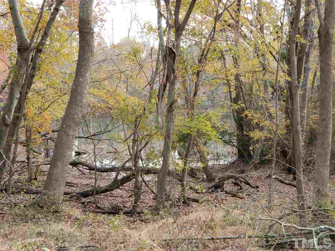 Edgemont Road Wendell, NC 27591 - Photo 6 of 6