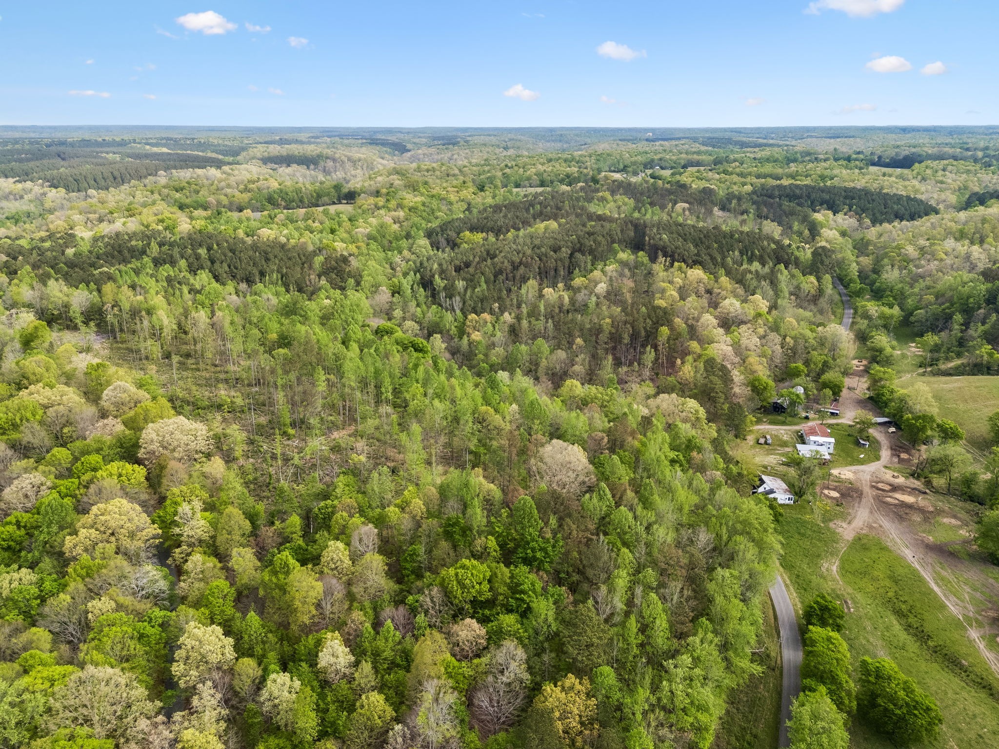 2 Pleasant Ridge Road Goodspring, TN 38460 - Photo 8 of 37 Gallery Image 8