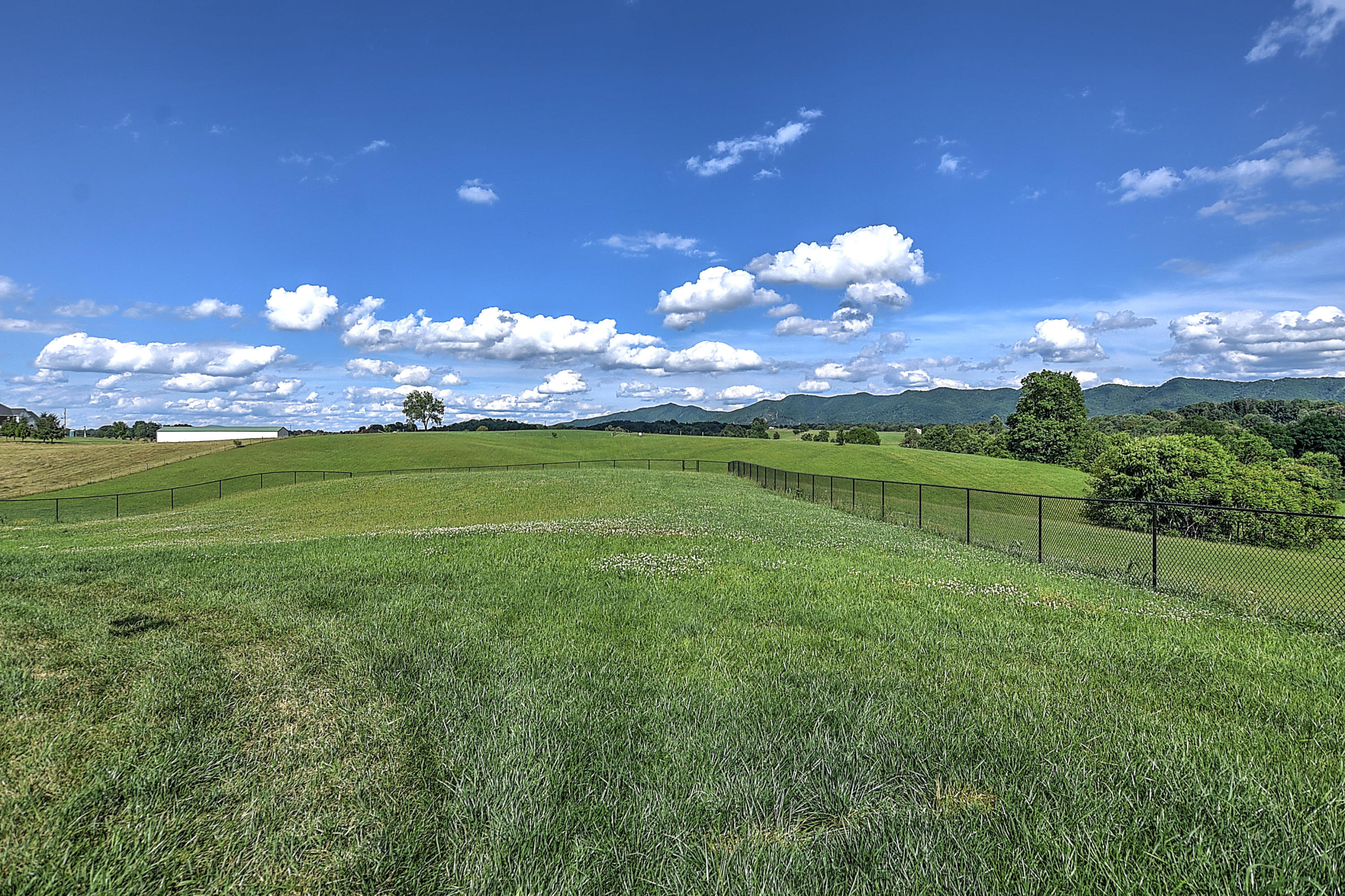 568 Old Embreeville Road Jonesborough, TN 37659 - Photo 54 of 74 568 Old Embreville-50
