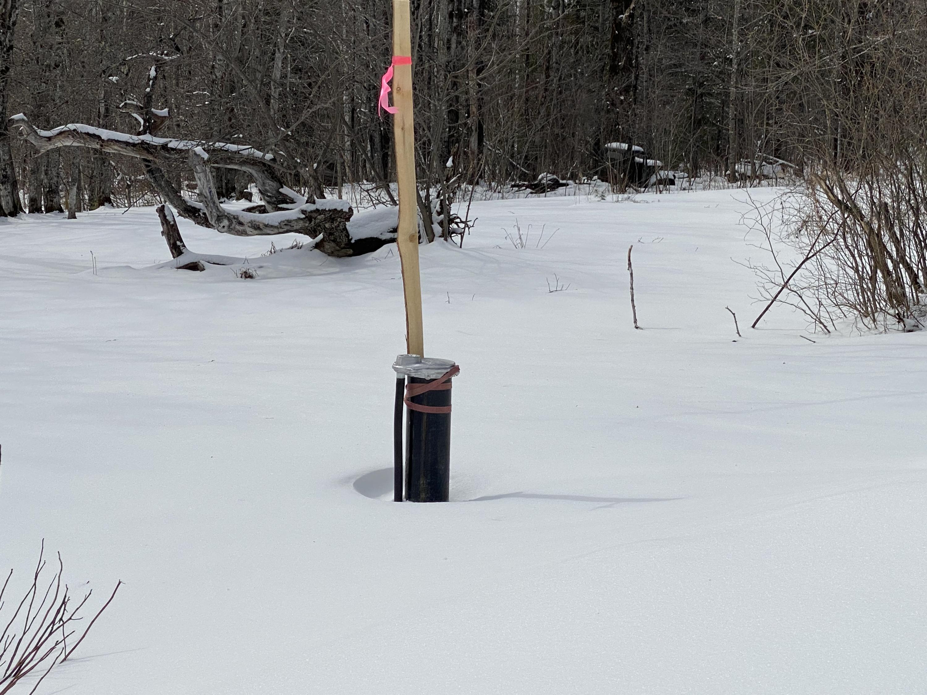512 W Road New Sweden, ME 04762 - Photo 81 of 98 512 West Rd New Sweden March 2021 (93)