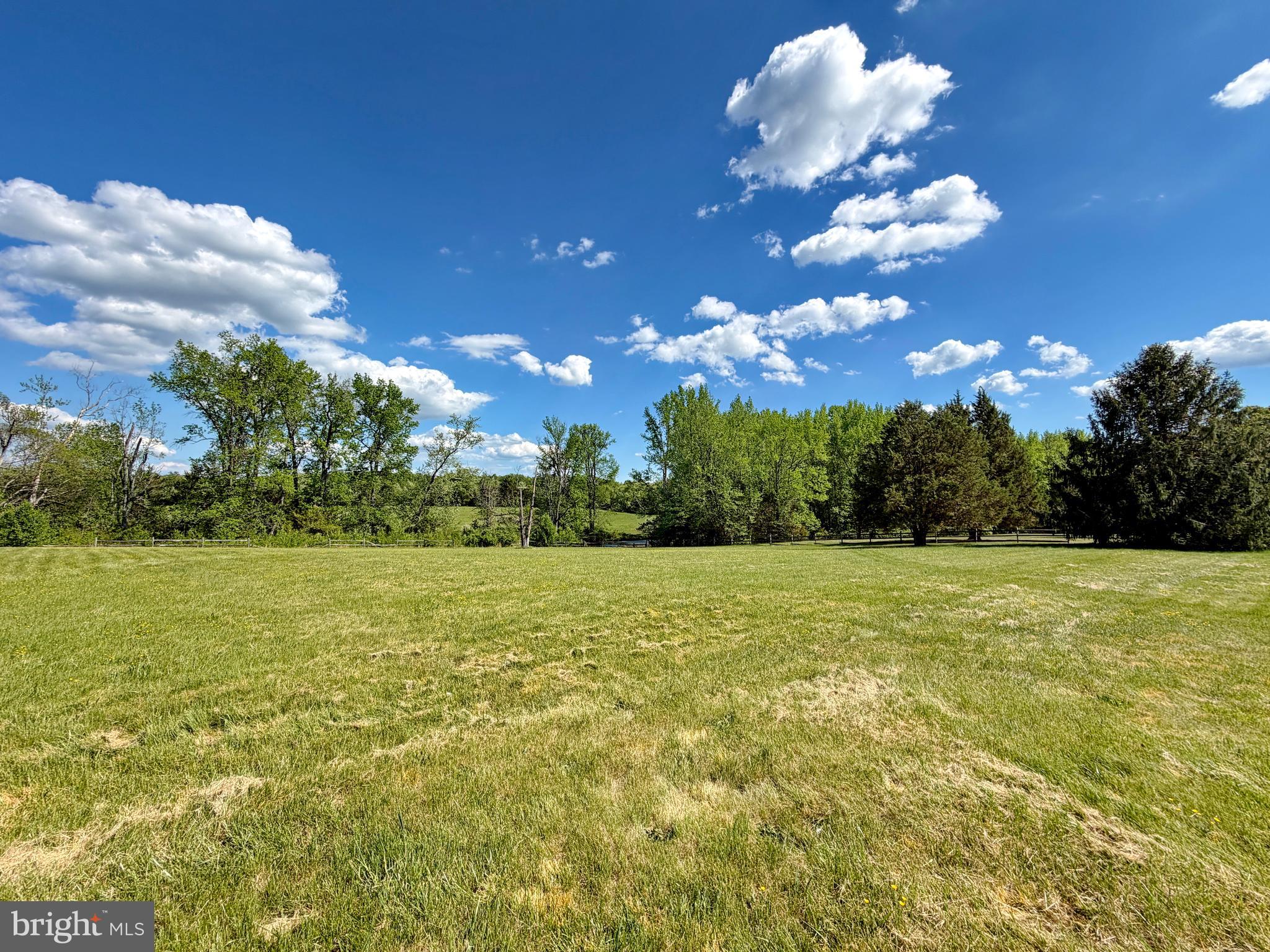 5880 Wedding Court Welcome, MD 20693 - Photo 9 of 12 View of backyard