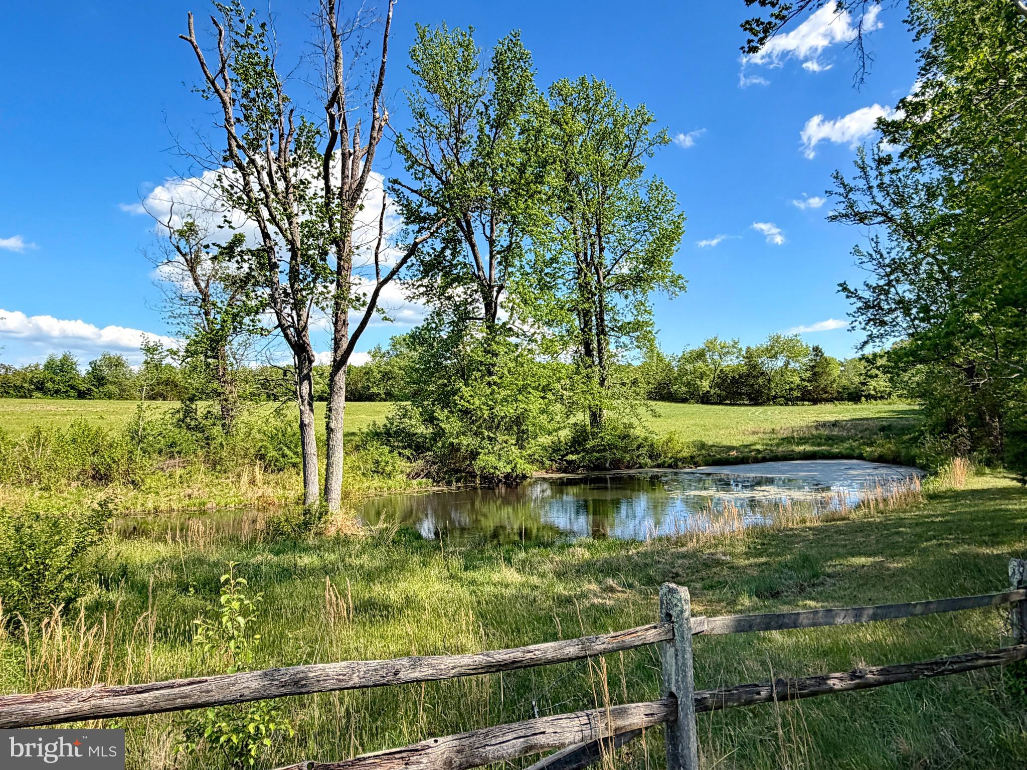 5880 Wedding Court Welcome, MD 20693 - Photo 10 of 12 View of additional acreage beyond fence (2 ponds)