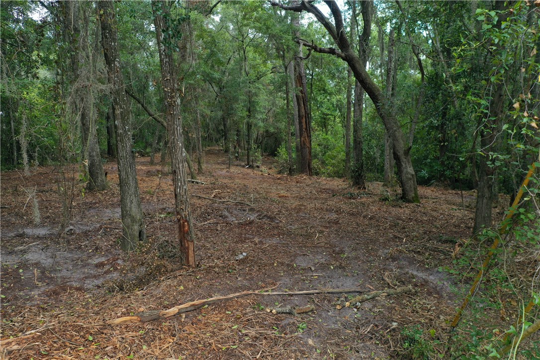 Roses Bluff Road Yulee, FL 32097 - Photo 4 of 17 a view of a forest with trees in the background