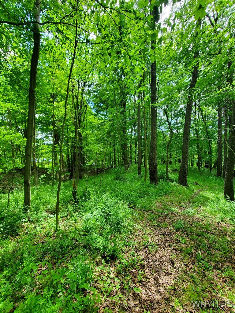 7200 Kent Road Little Valley, NY 14755 - Photo 32 of 43