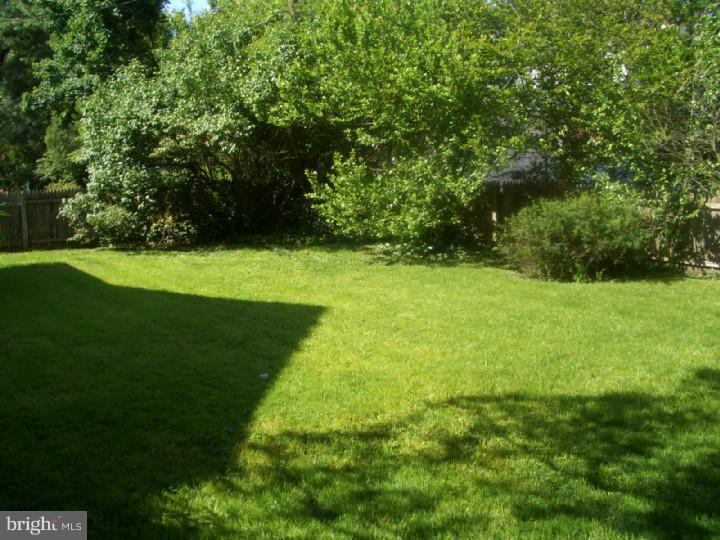 147 Trent Road Wynnewood, PA 19096 - Photo 18 of 18 Back Yard