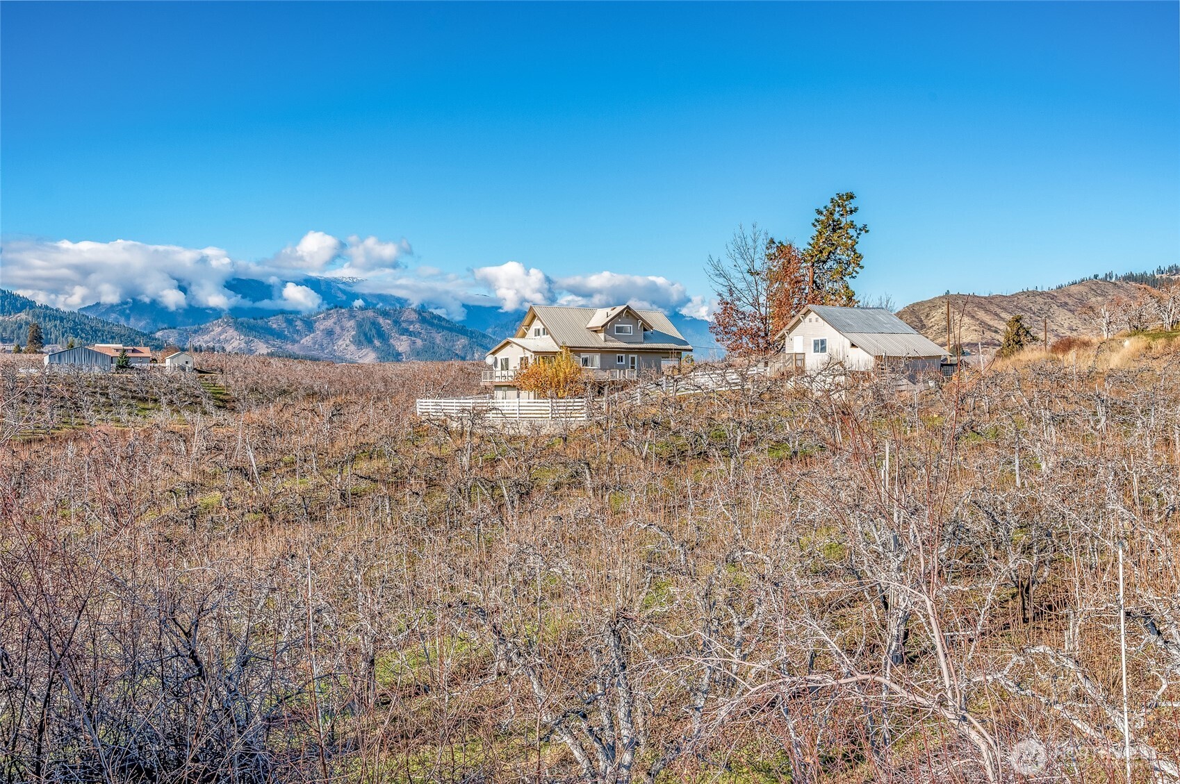 8133 North Dryden Road Cashmere, WA 98815 - Photo 3 of 36 a view of a backyard of a house