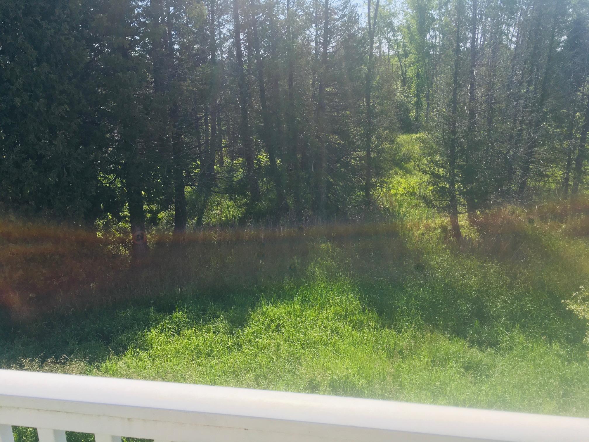 8630 Broe Road Cheboygan, MI 49721 - Photo 37 of 57 Gallery Image 37