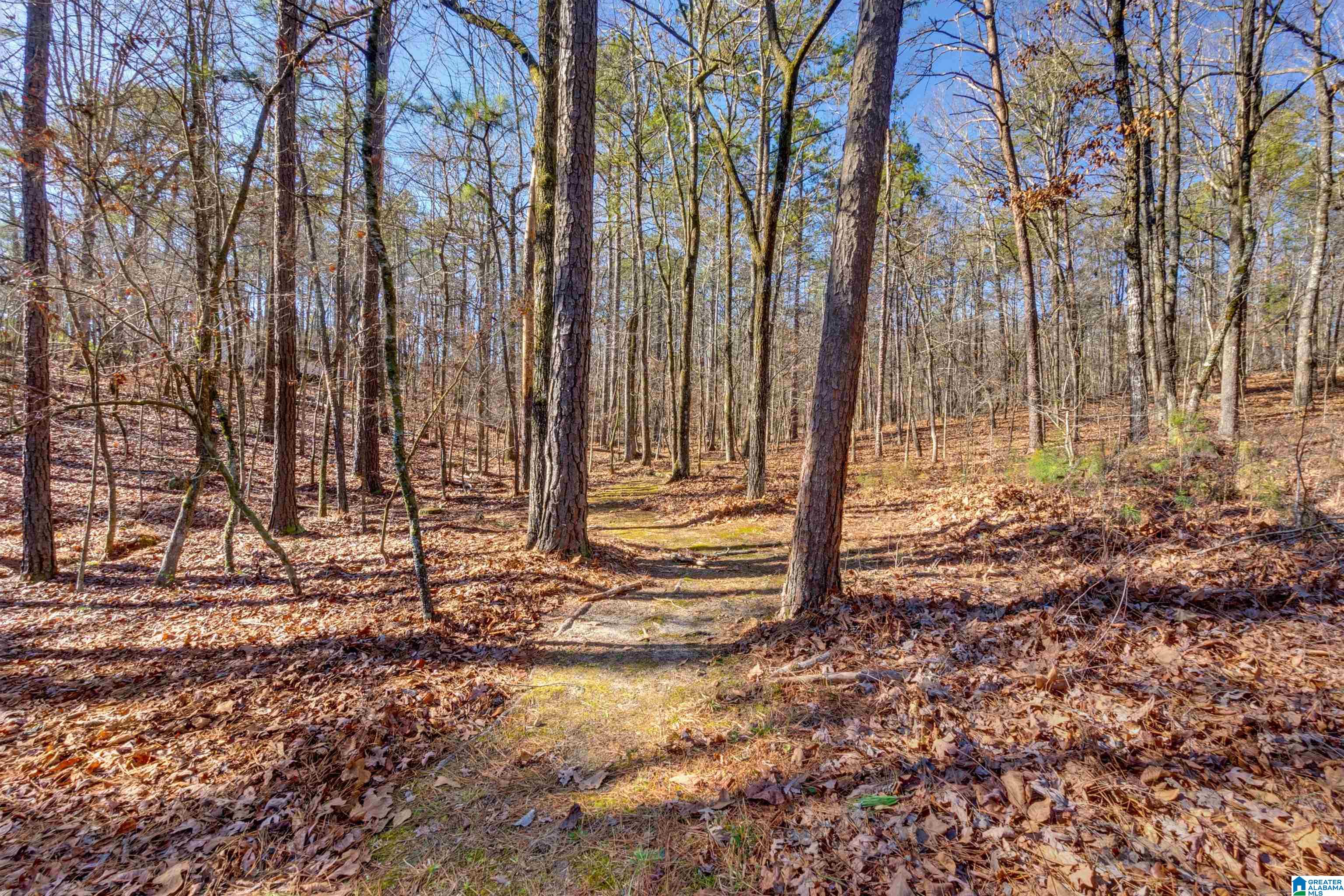900 County Road 772 Montevallo, AL 35115 - Photo 45 of 58