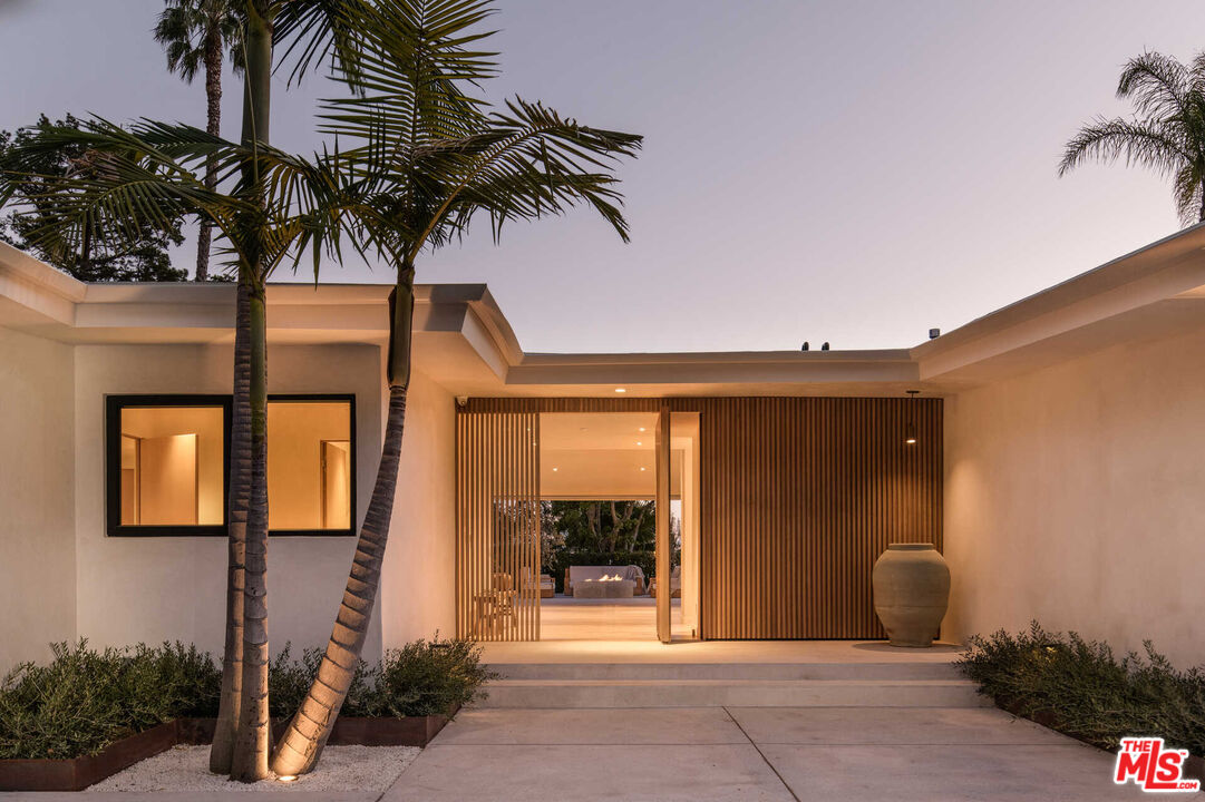 a palm tree sitting in front of a building