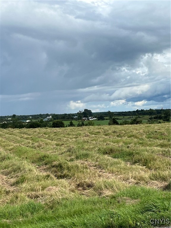 31233 Elm Ridge Road Le Ray, NY 13637 - Photo 4 of 7