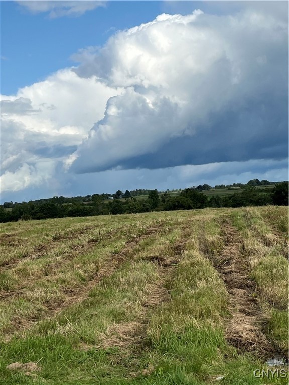 31233 Elm Ridge Road Le Ray, NY 13637 - Photo 6 of 7