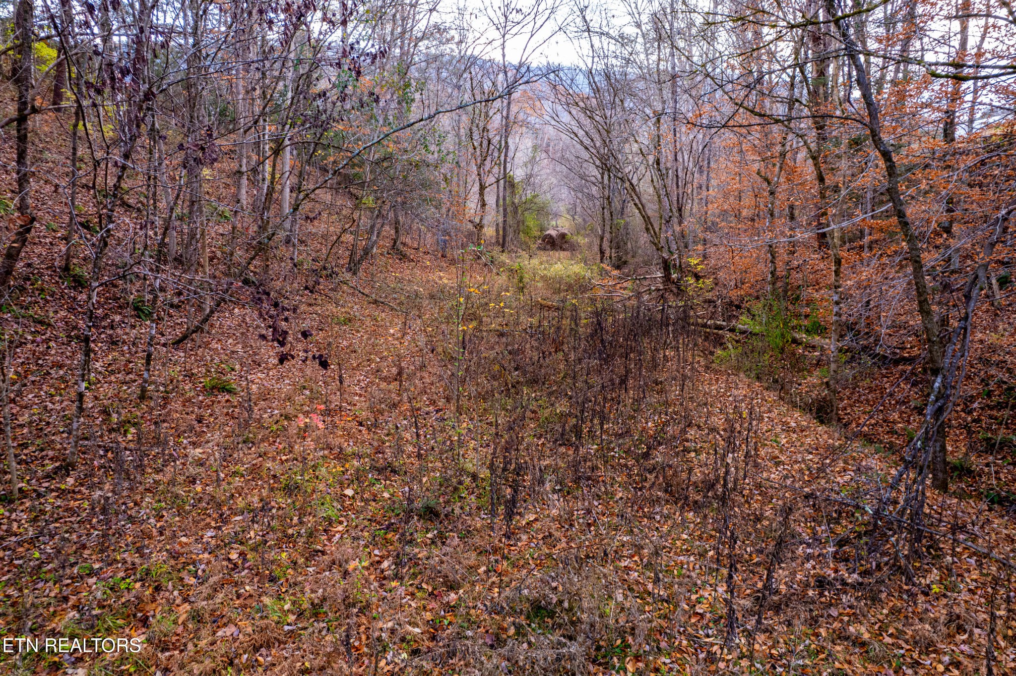 1858 Old Chilhowee Road Seymour, TN 37865 - Photo 5 of 19 Gallery Image 5