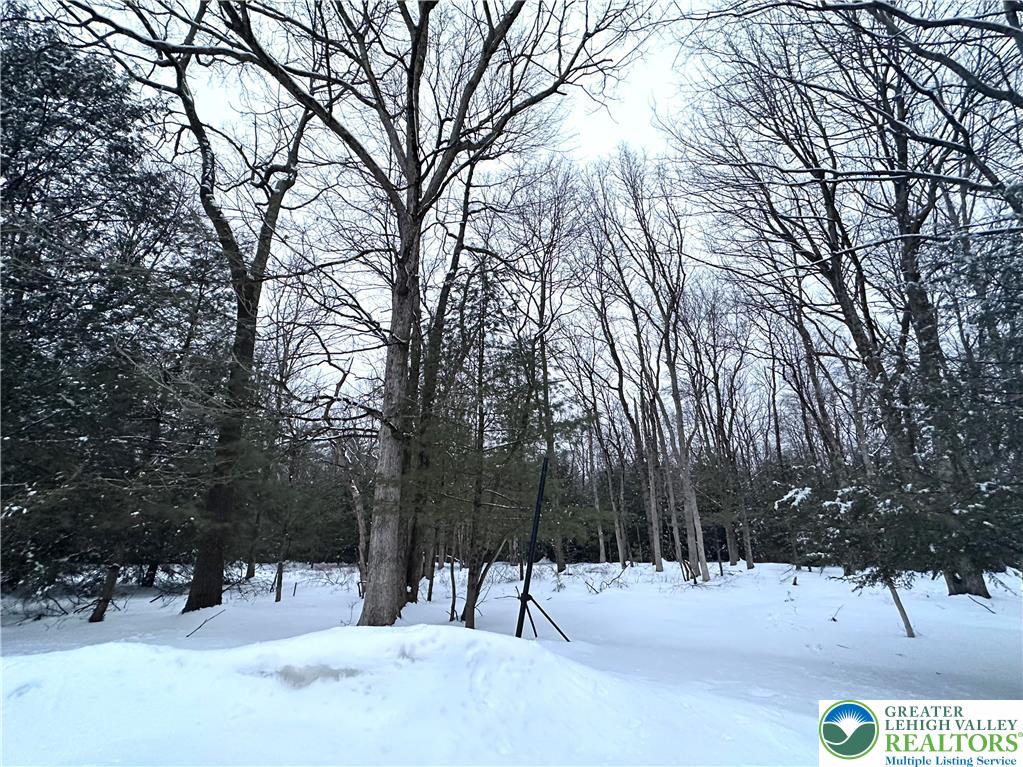Hawk Lane Jim Thorpe, PA 18229 - Photo 4 of 6 a view of outdoor space with trees