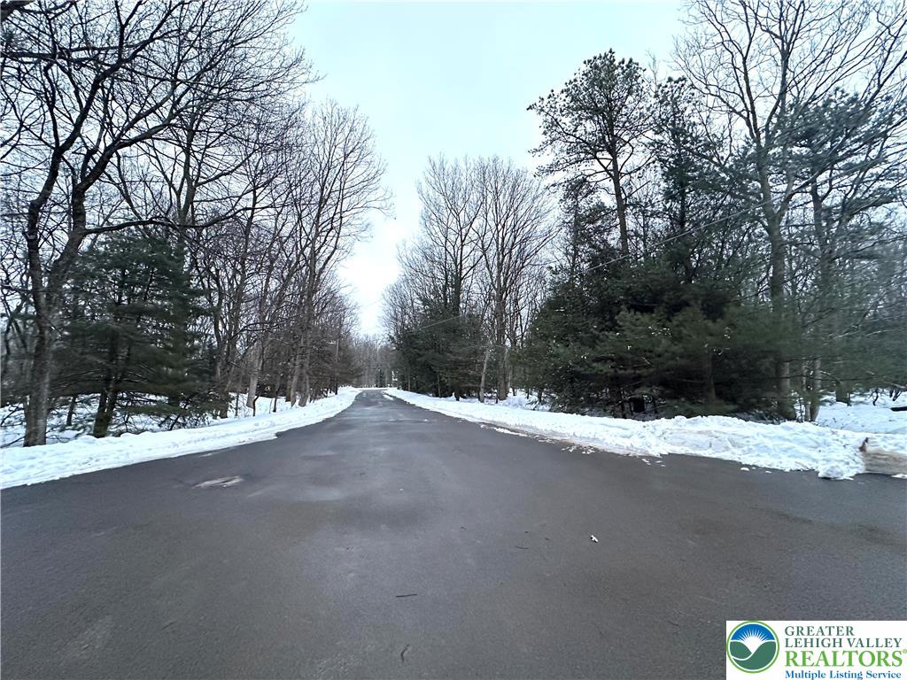 Hawk Lane Jim Thorpe, PA 18229 - Photo 5 of 6 a backyard of a house with lots of green space