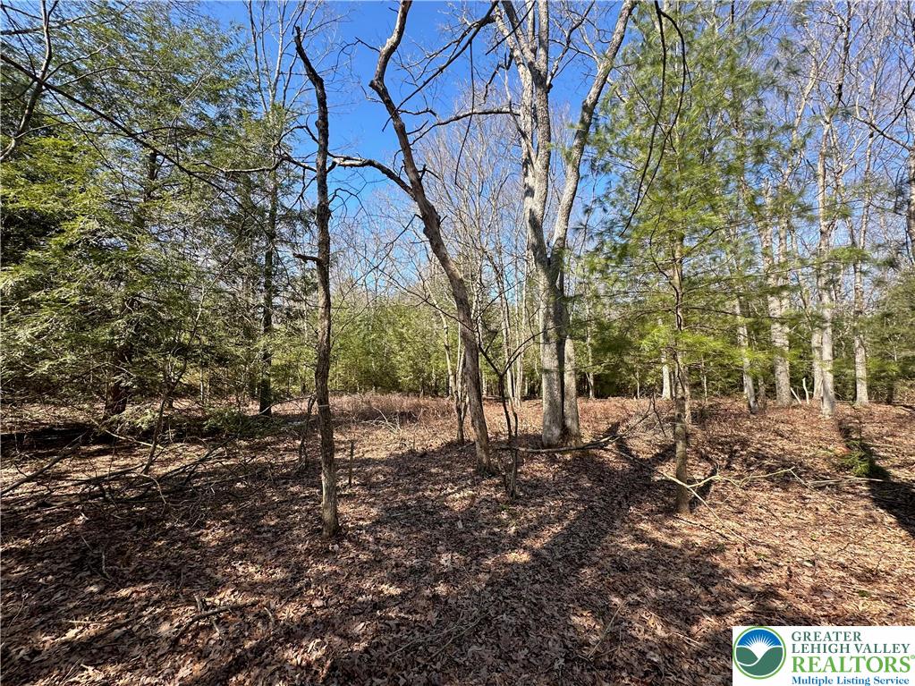 Hawk Lane Jim Thorpe, PA 18229 - Photo 6 of 6 a backyard of a house with lots of green space
