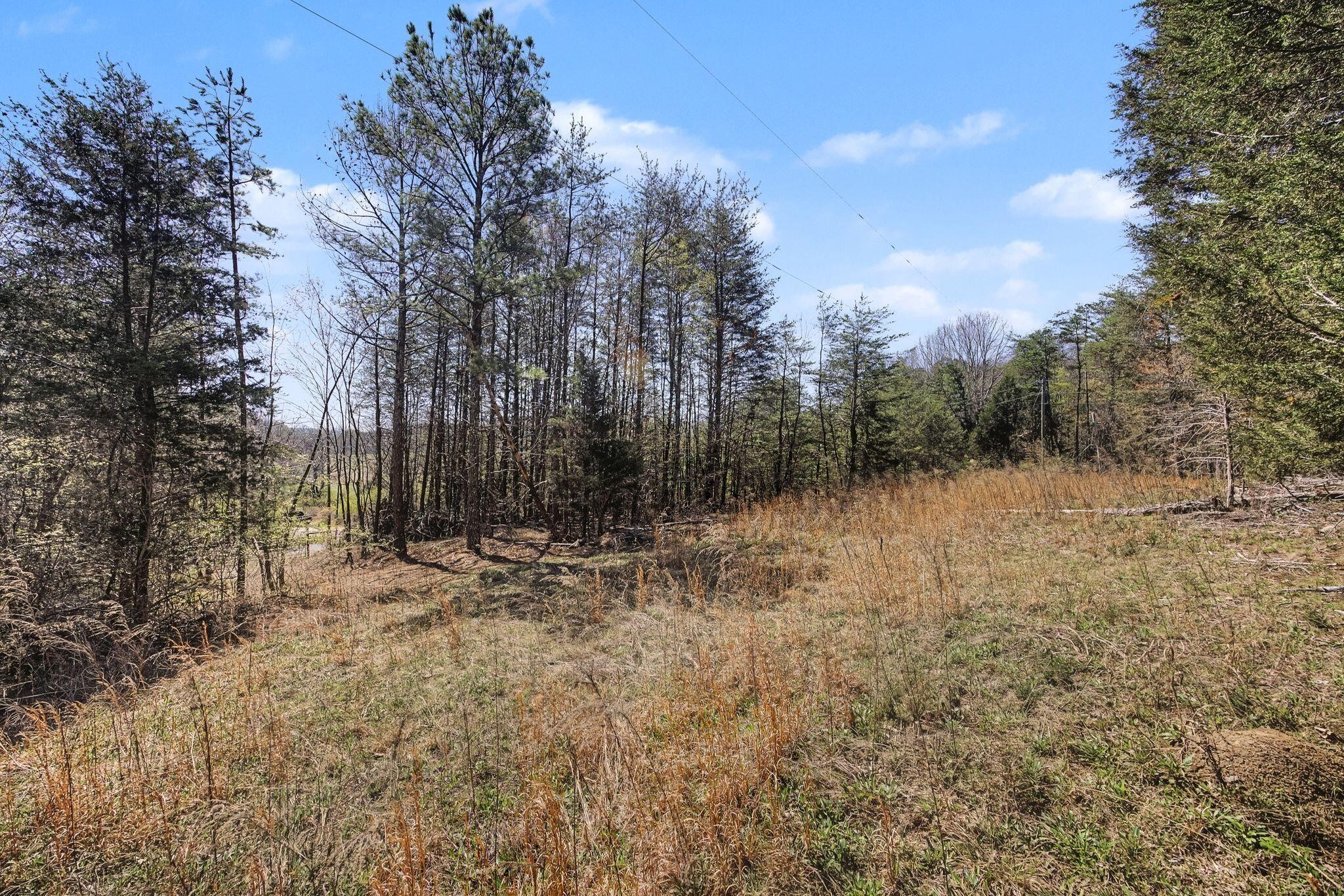 4749 Parker Loop Road Birchwood, TN 37308 - Photo 4 of 31 Gallery Image 4