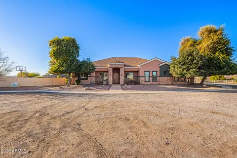 a row of palm trees and a yard of the house