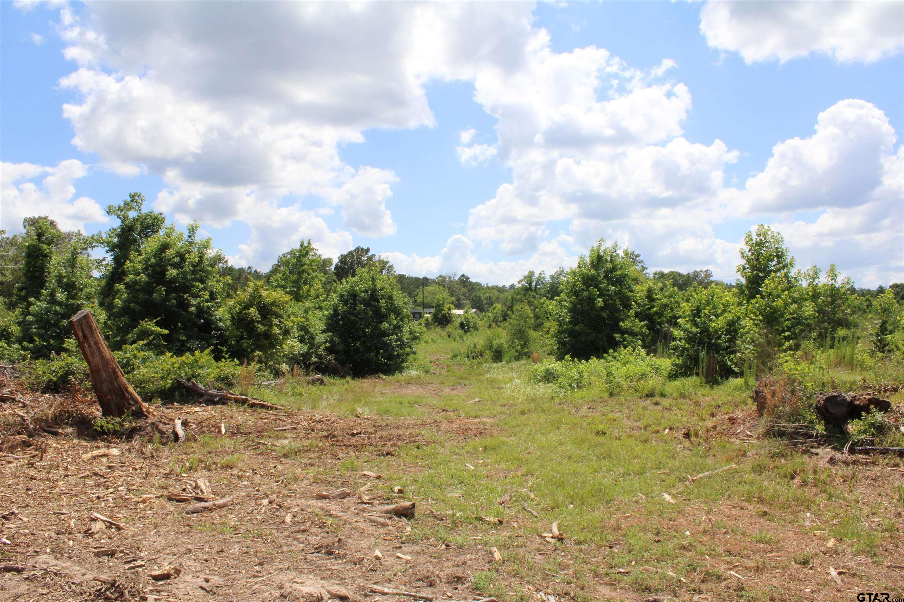 1110 - Tract 4 Rusk Tx 75785 Rusk, TX 75785 - Photo 7 of 13