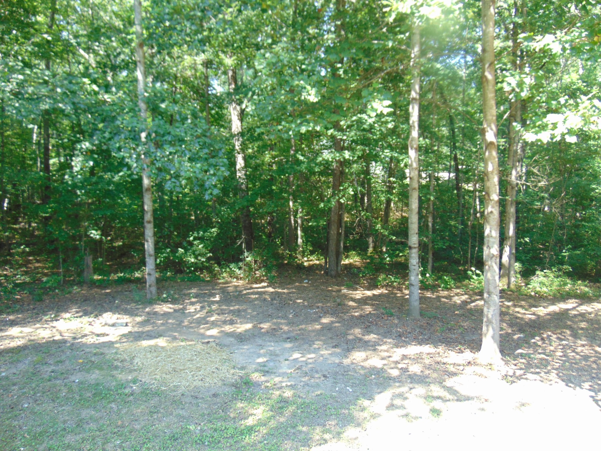1095 Colony Road Grimsley, TN 38565 - Photo 21 of 26 Gallery Image 21