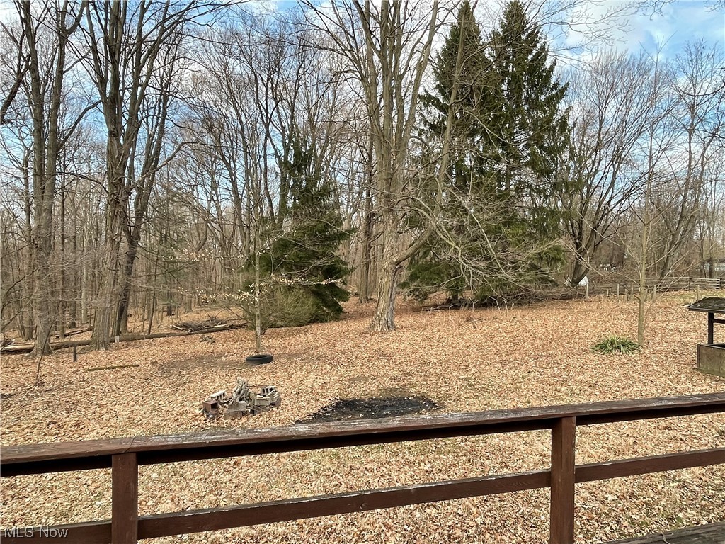 37934 Butcher Road Leetonia, OH 44431 - Photo 5 of 15