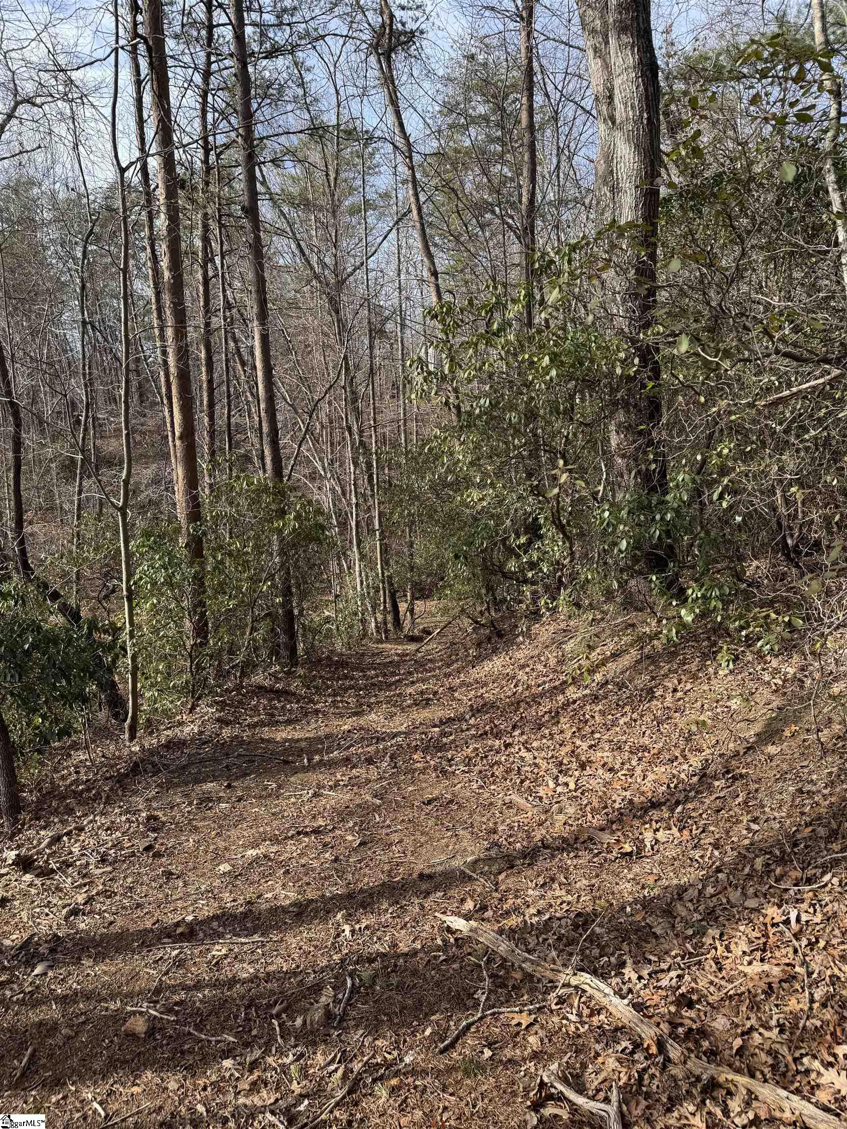 Butter Street Landrum, SC 29356 - Photo 15 of 19