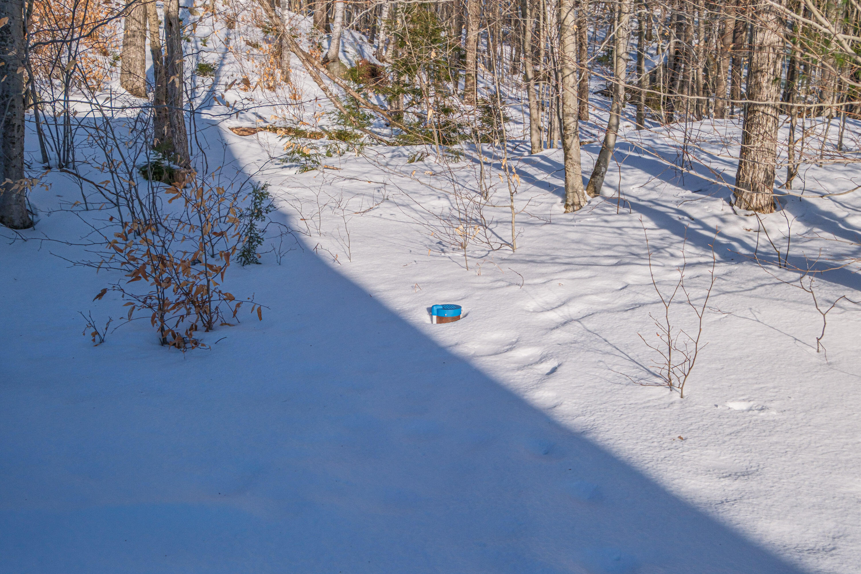 59 Douglass Road Newry, ME 04261 - Photo 88 of 108 20260116gp-63097