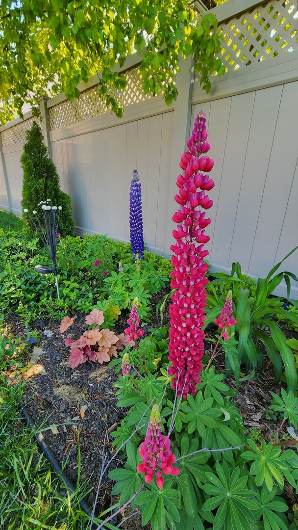 1770 Windmill Court Addison, IL 60101 - Photo 49 of 58